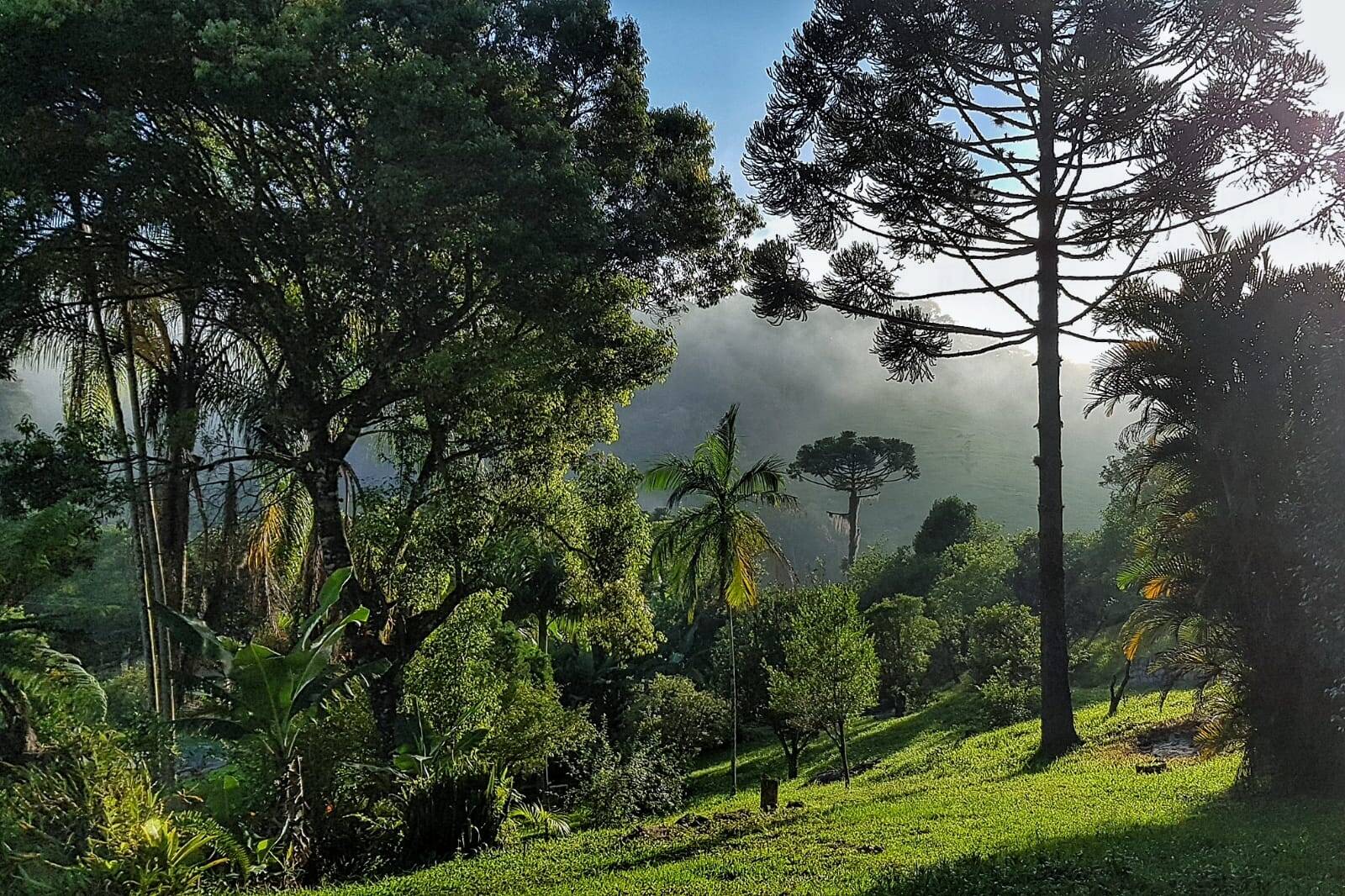 Terreno à venda, 330000m² - Foto 1