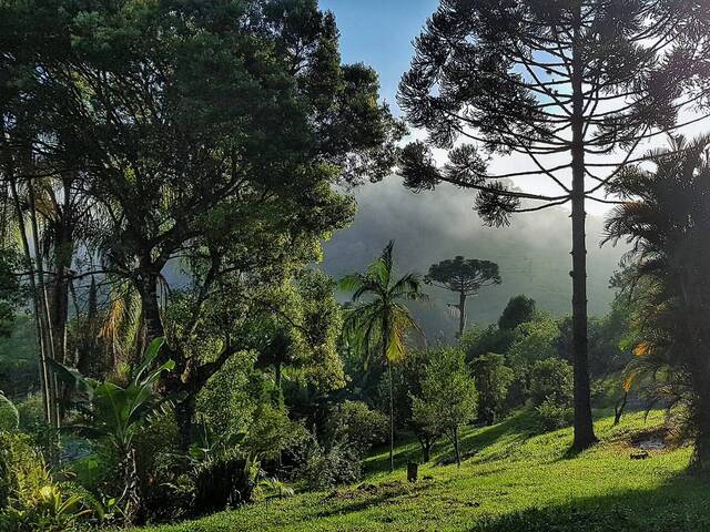 #29 - Chácara para Venda em Águas Mornas - SC - 1